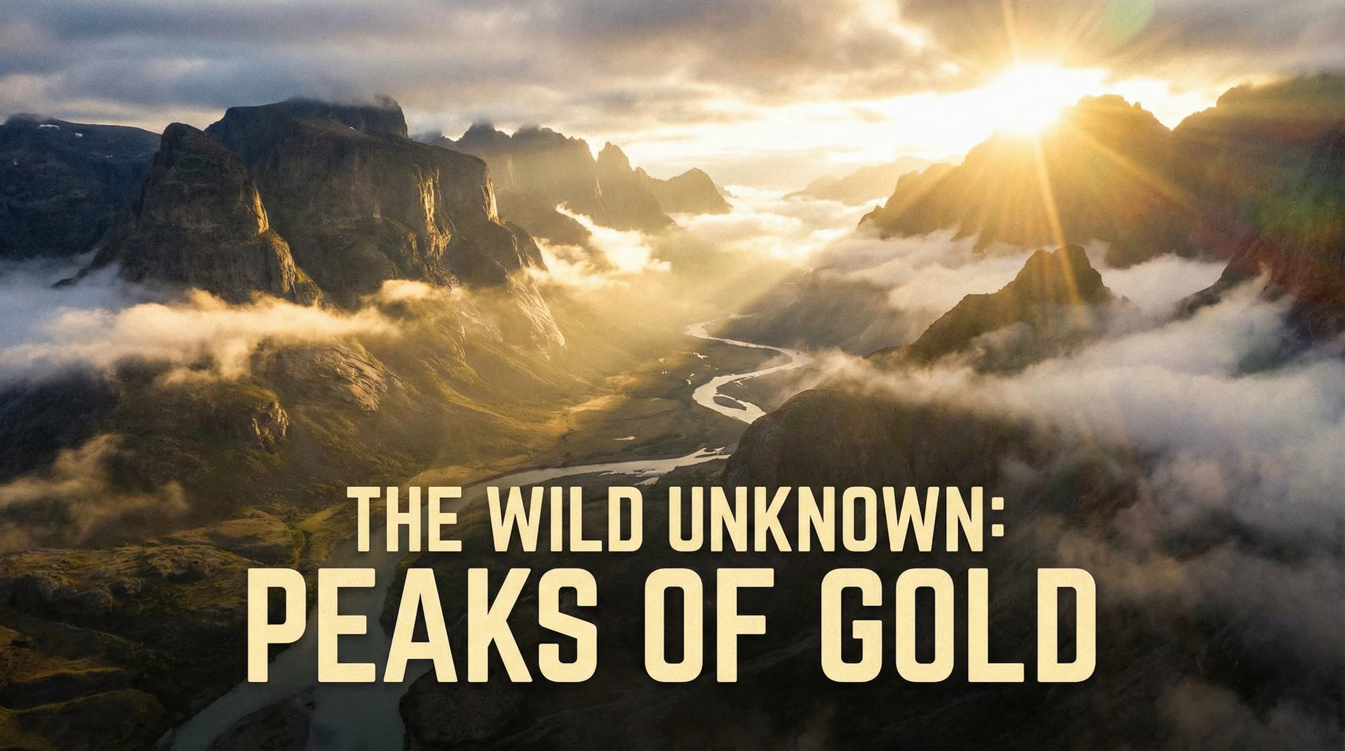 糖心探花精选内容展示